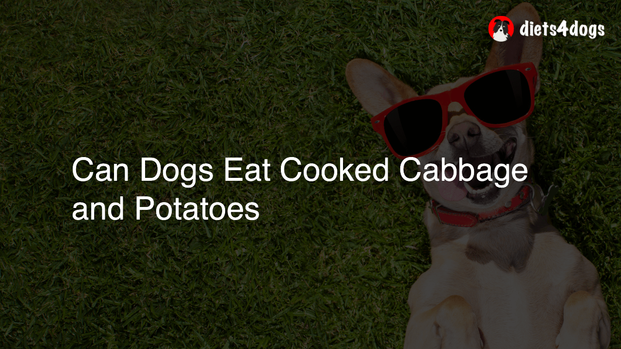 Can Dogs Eat Cooked Cabbage and Potatoes