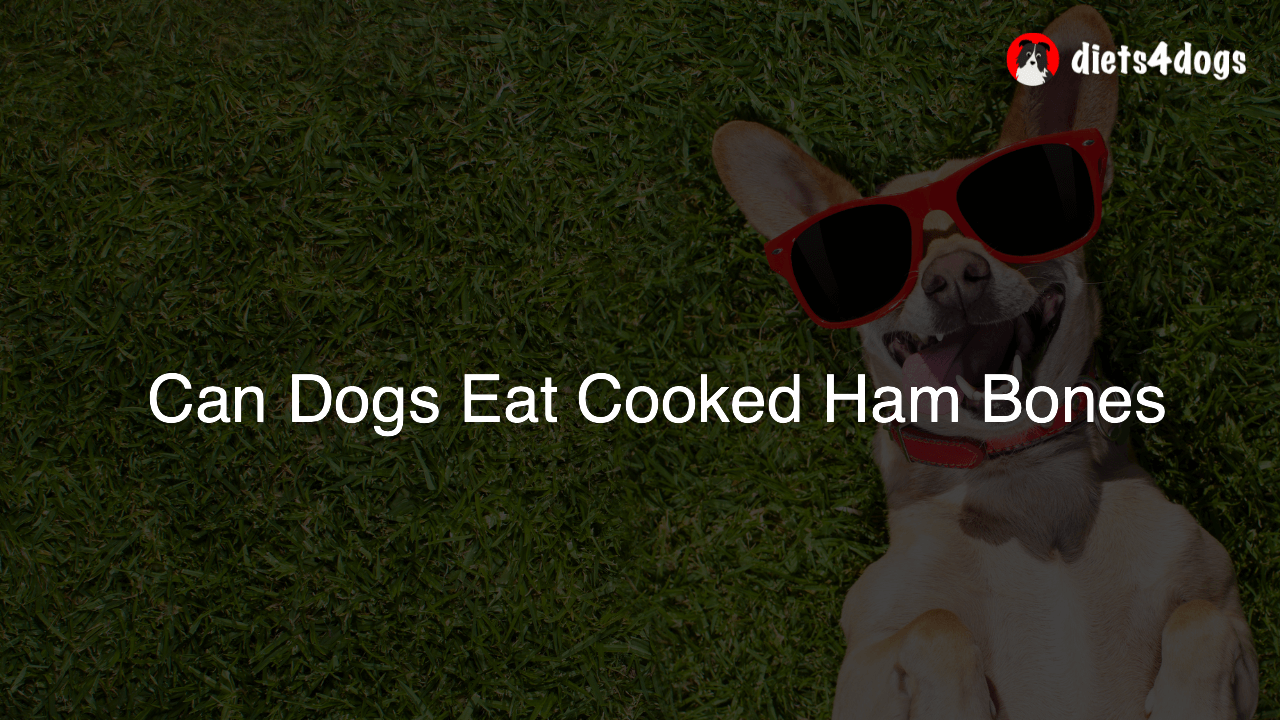Can Dogs Eat Cooked Ham Bones