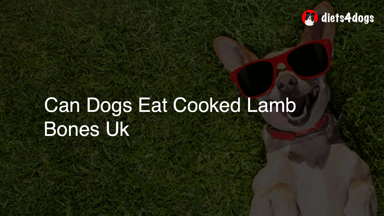 Can Dogs Eat Cooked Lamb Bones Uk