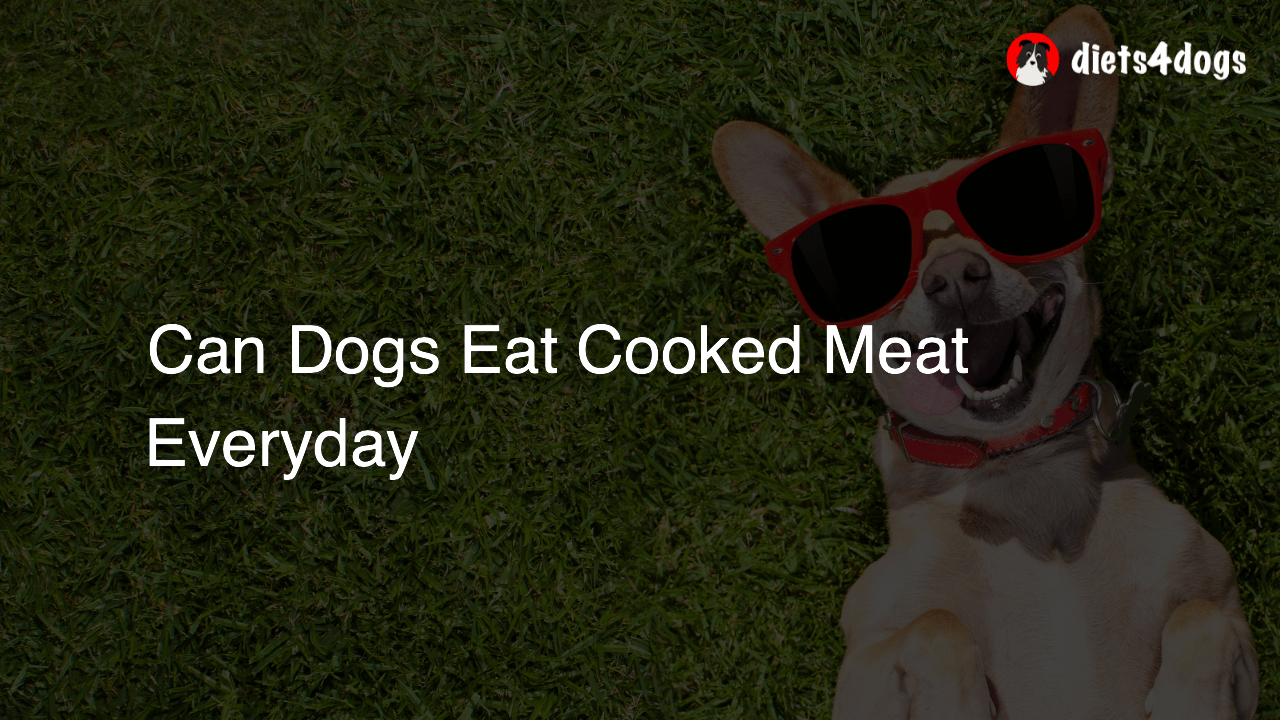 Can Dogs Eat Cooked Meat Everyday