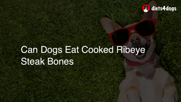 Can Dogs Eat Cooked Ribeye Steak Bones