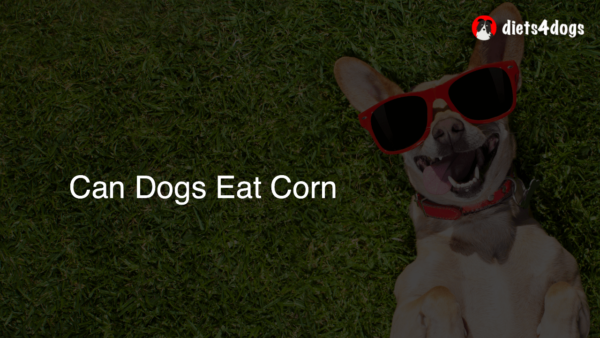 Can Dogs Eat Corn