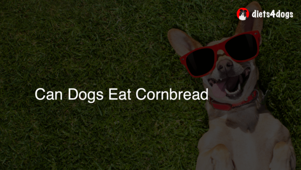 Can Dogs Eat Cornbread