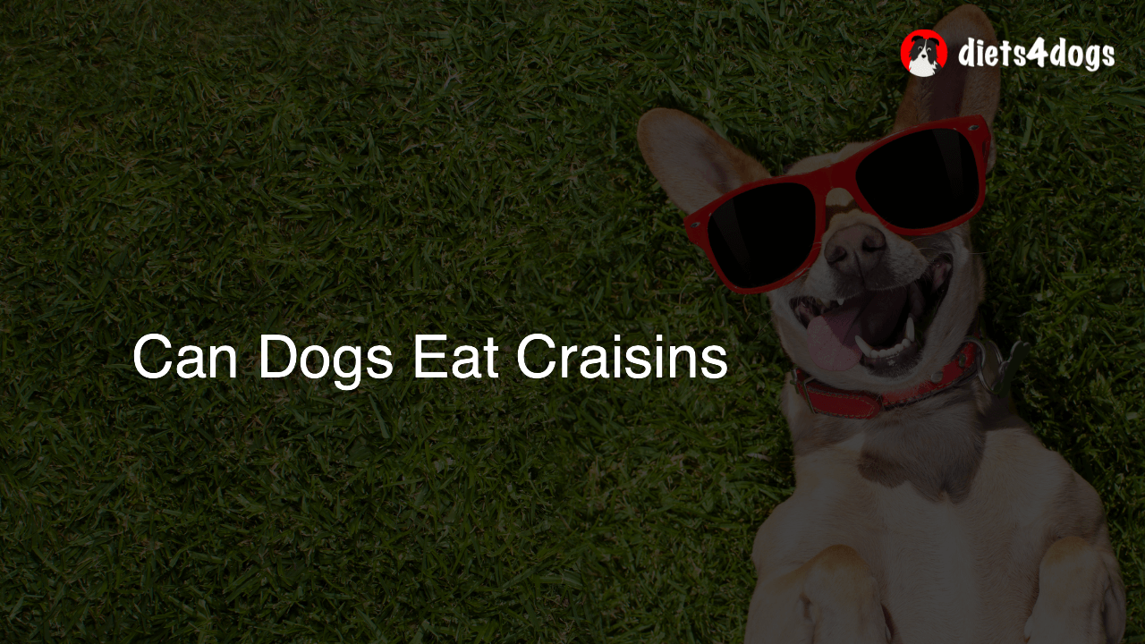 Can Dogs Eat Craisins