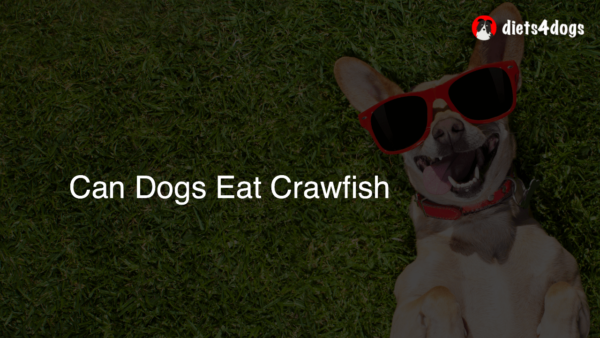 Can Dogs Eat Crawfish