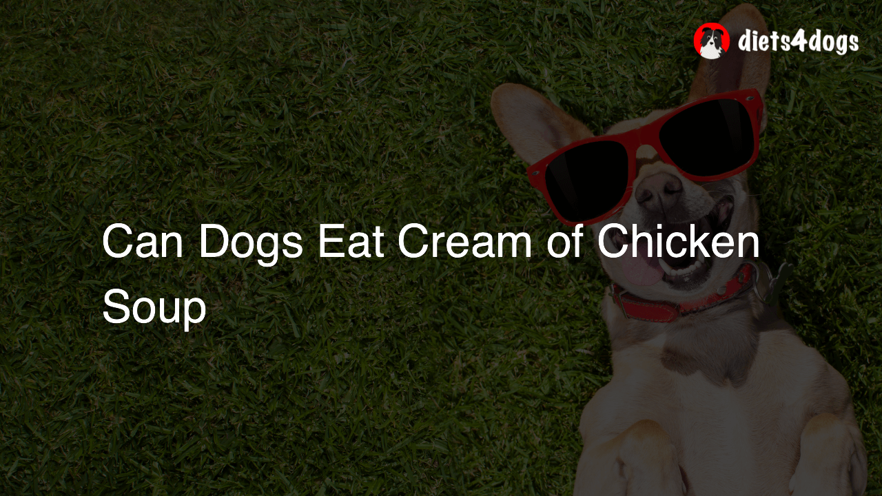 Can Dogs Eat Cream of Chicken Soup
