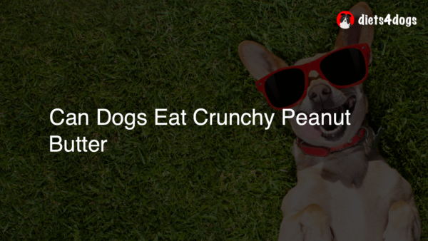 Can Dogs Eat Crunchy Peanut Butter