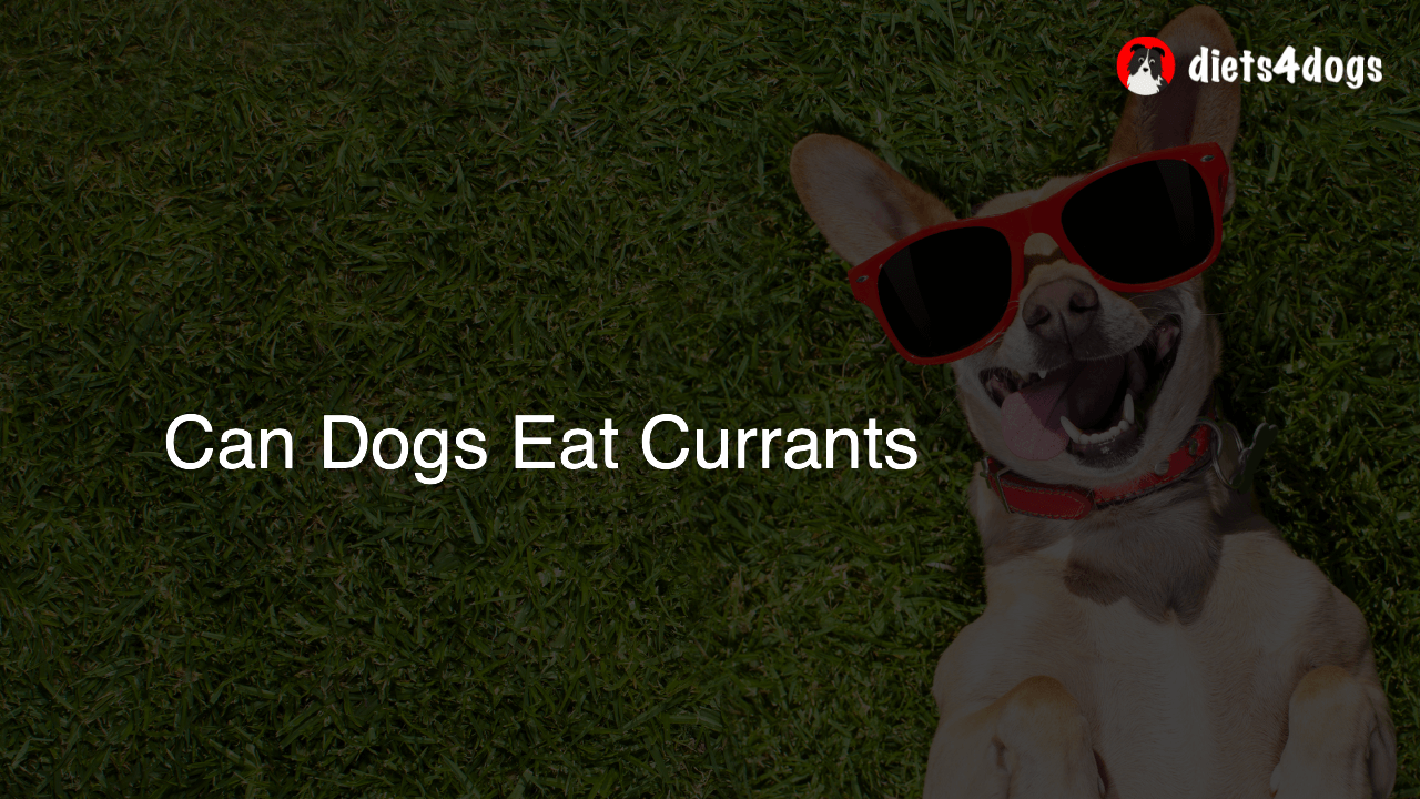Can Dogs Eat Currants