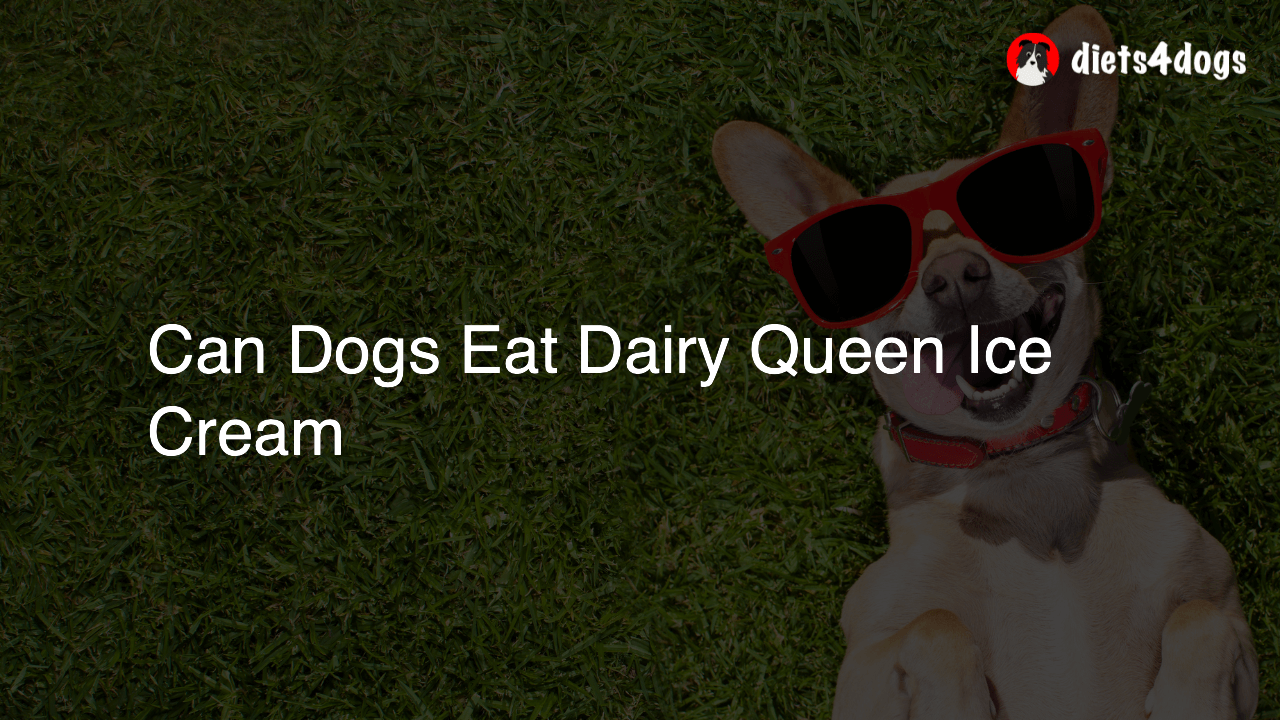 Can Dogs Eat Dairy Queen Ice Cream