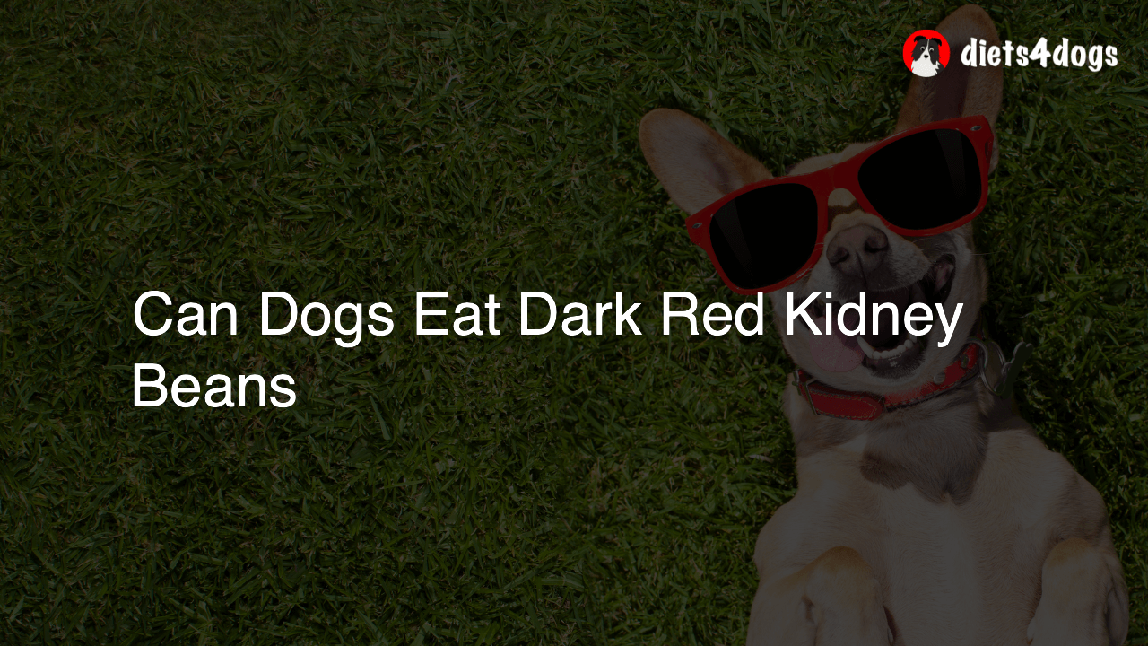 Can Dogs Eat Dark Red Kidney Beans