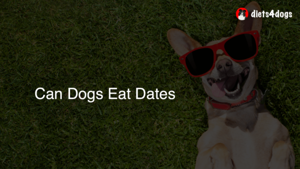 Can Dogs Eat Dates