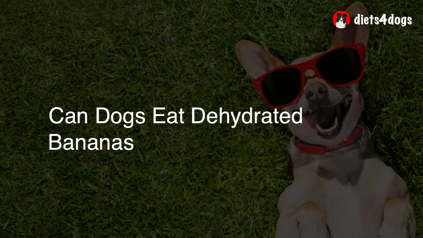 Can Dogs Eat Dehydrated Bananas