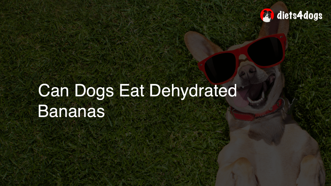Can Dogs Eat Dehydrated Bananas