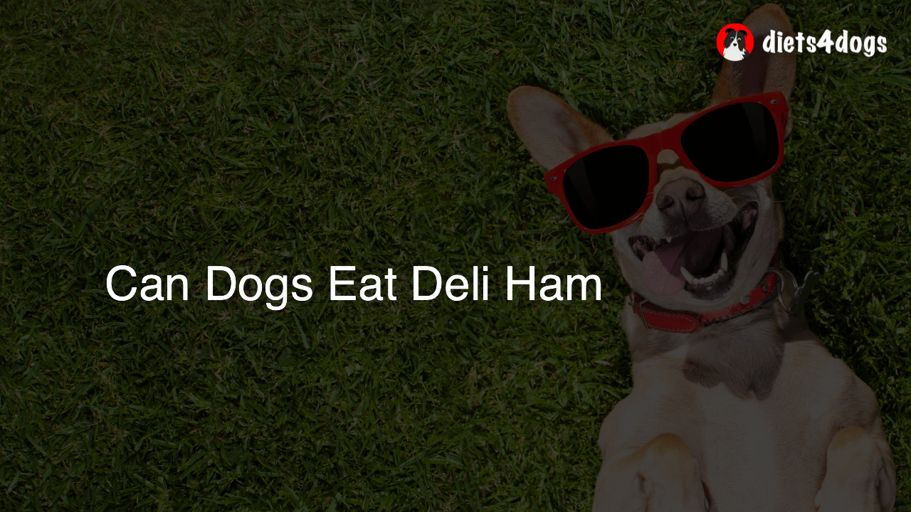 Can Dogs Eat Deli Ham