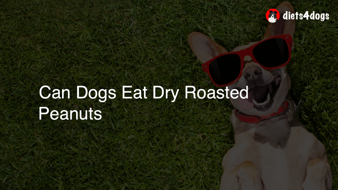 Can Dogs Eat Dry Roasted Peanuts