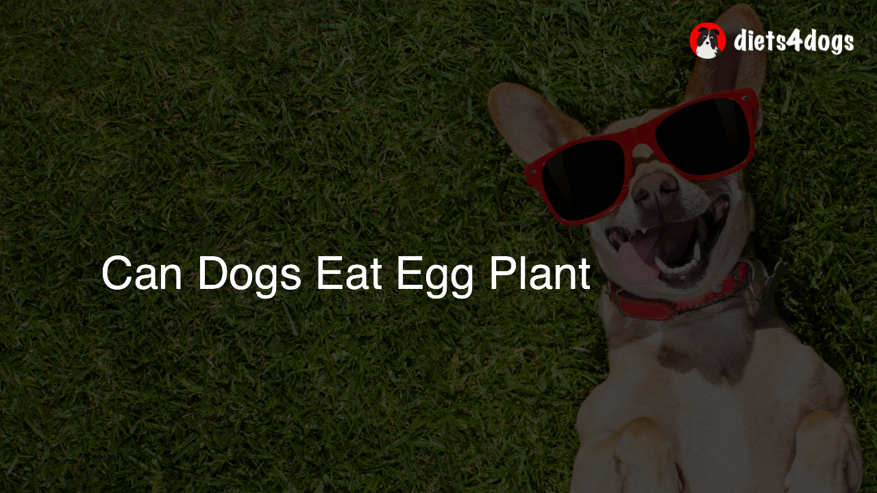Can Dogs Eat Egg Plant