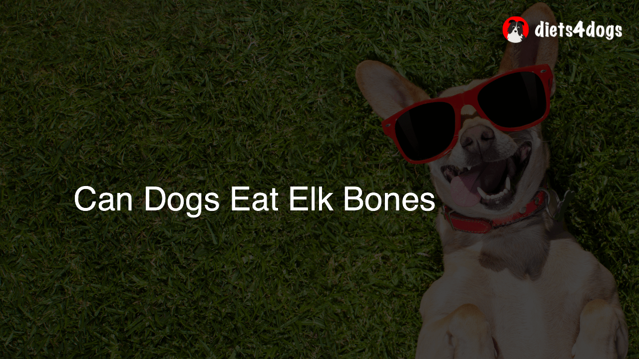 Can Dogs Eat Elk Bones