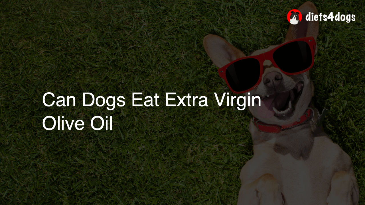 Can Dogs Eat Extra Virgin Olive Oil