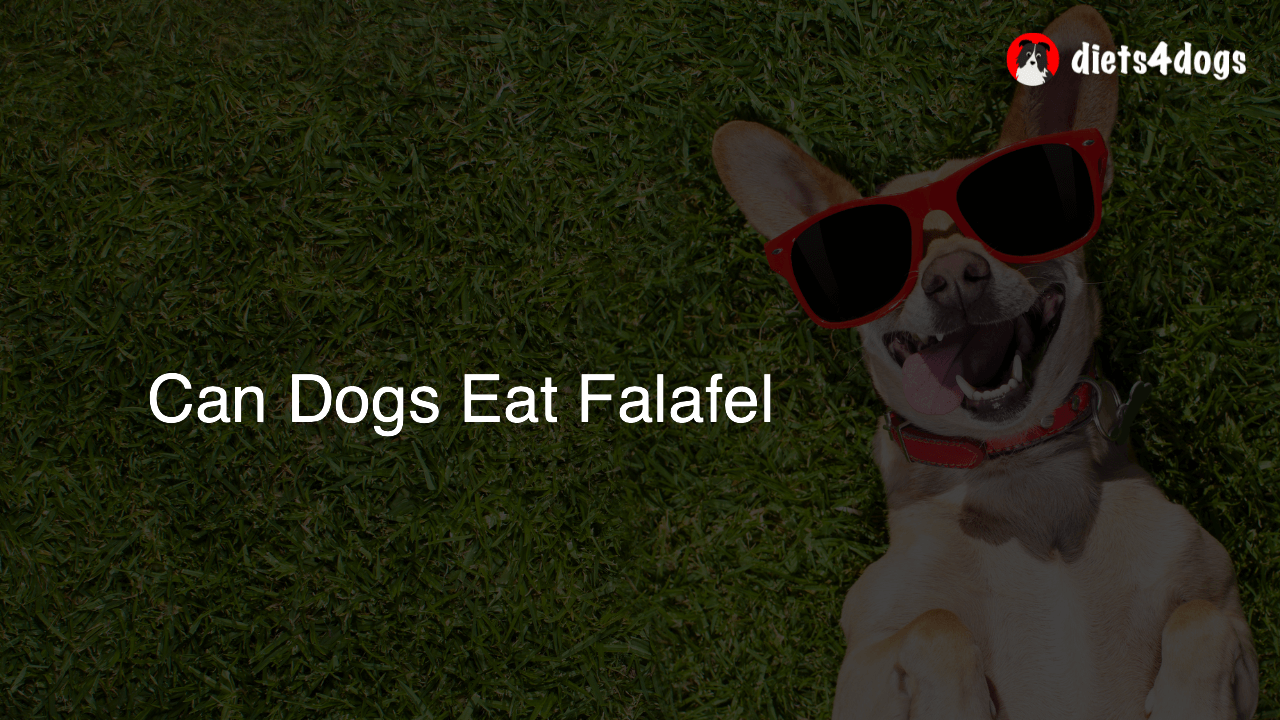 Can Dogs Eat Falafel