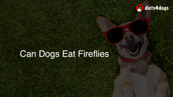 Can Dogs Eat Fireflies