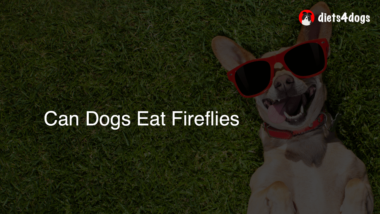 Can Dogs Eat Fireflies