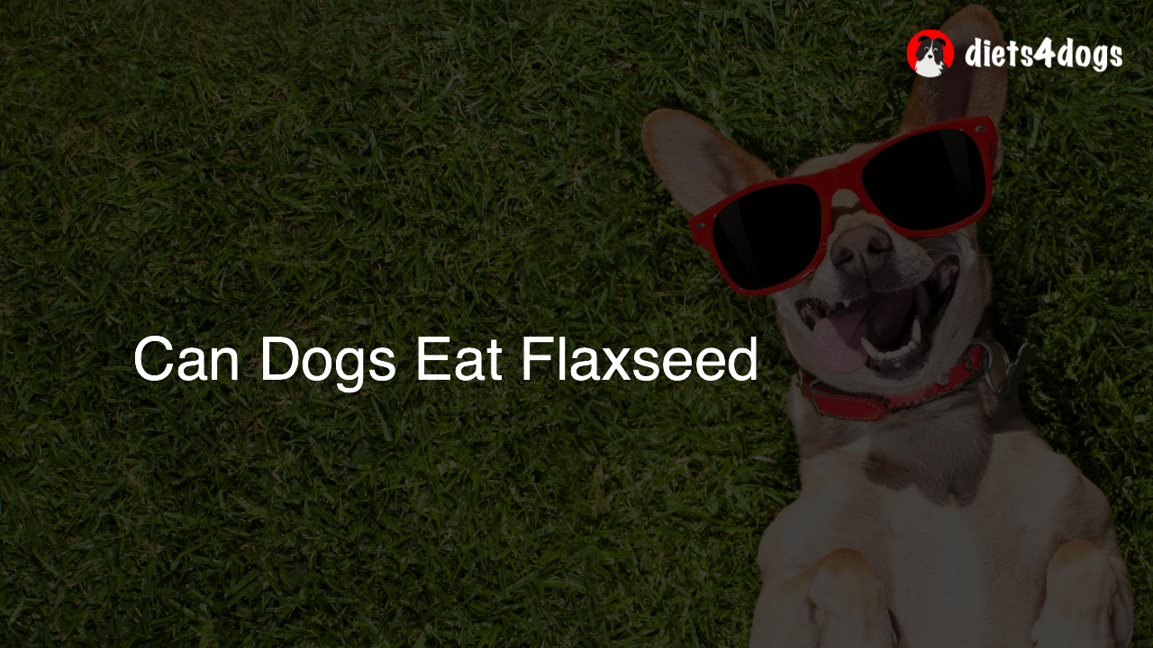Can Dogs Eat Flaxseed