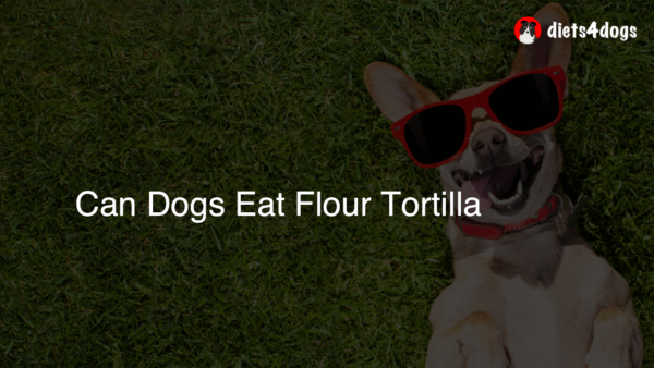 Can Dogs Eat Flour Tortilla