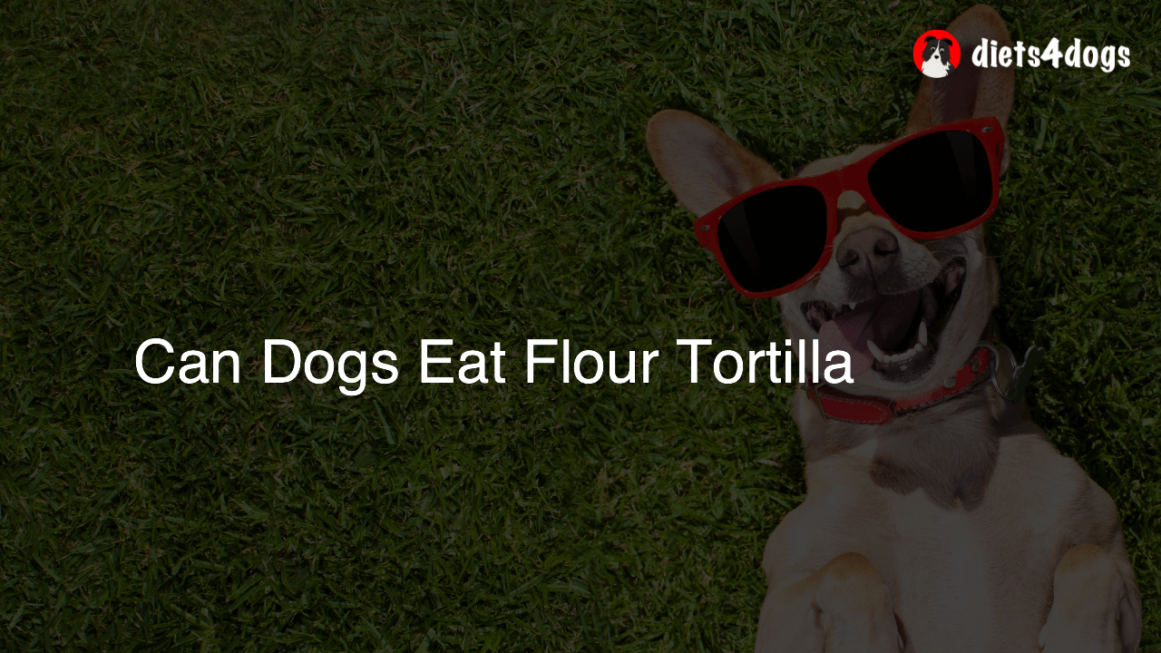 Can Dogs Eat Flour Tortilla