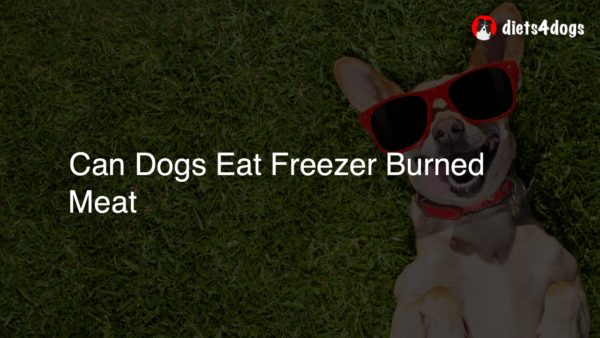 Can Dogs Eat Freezer Burned Meat