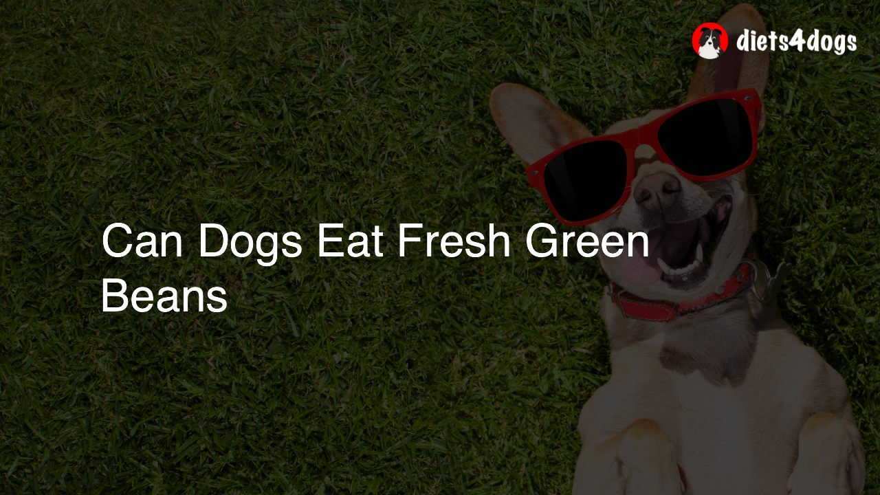 Can Dogs Eat Fresh Green Beans