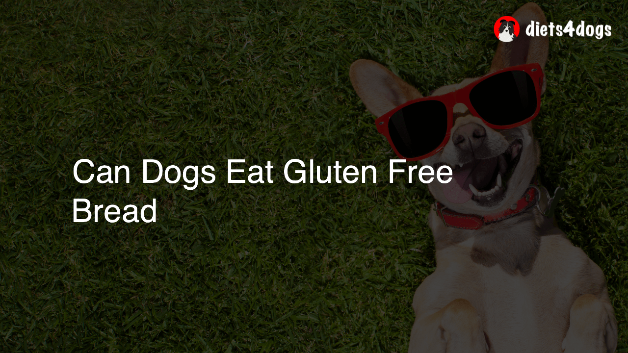 Can Dogs Eat Gluten Free Bread