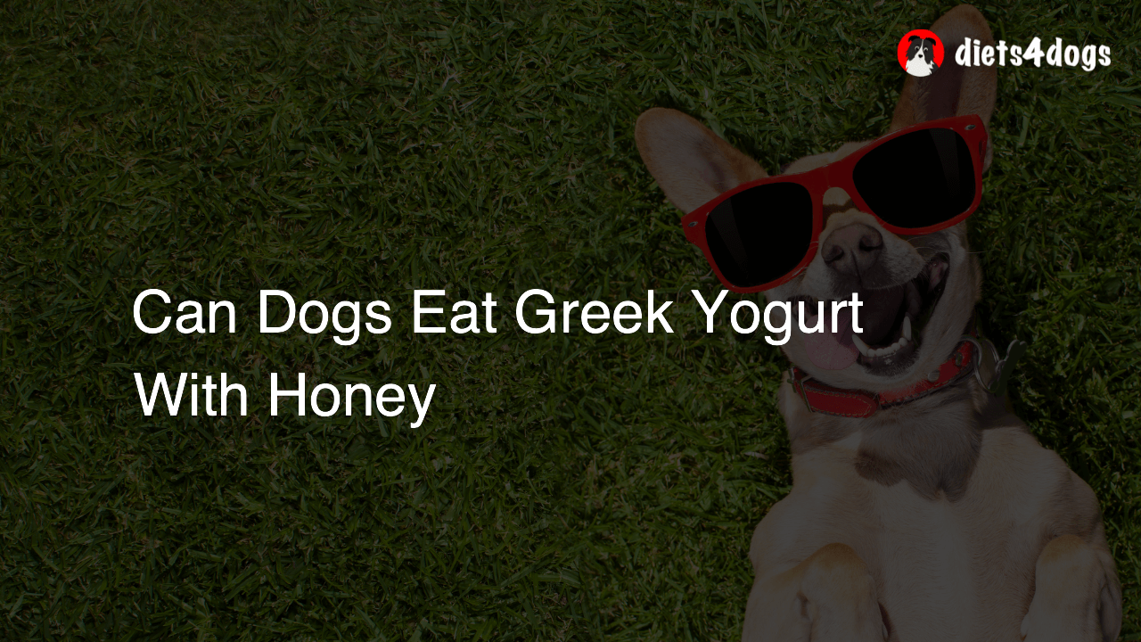 Can Dogs Eat Greek Yogurt With Honey