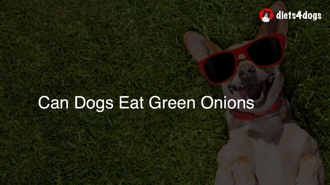 Can Dogs Eat Green Onions