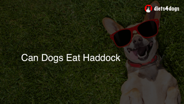 Can Dogs Eat Haddock