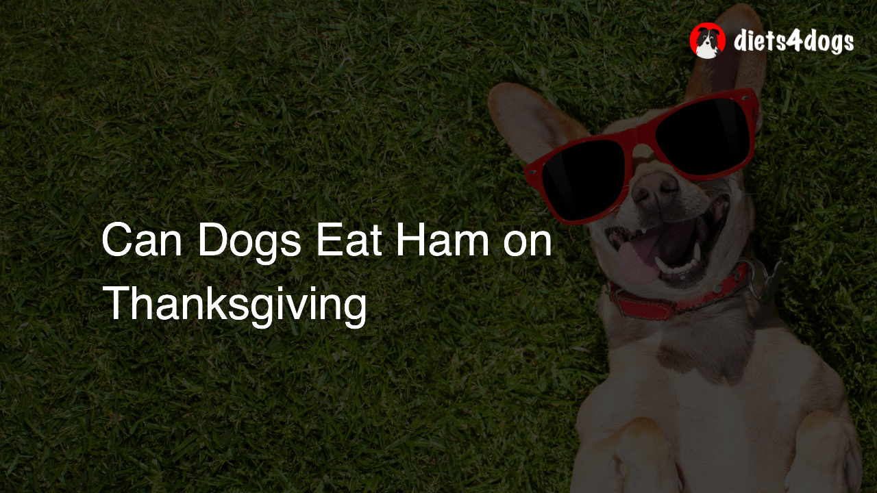 Can Dogs Eat Ham on Thanksgiving