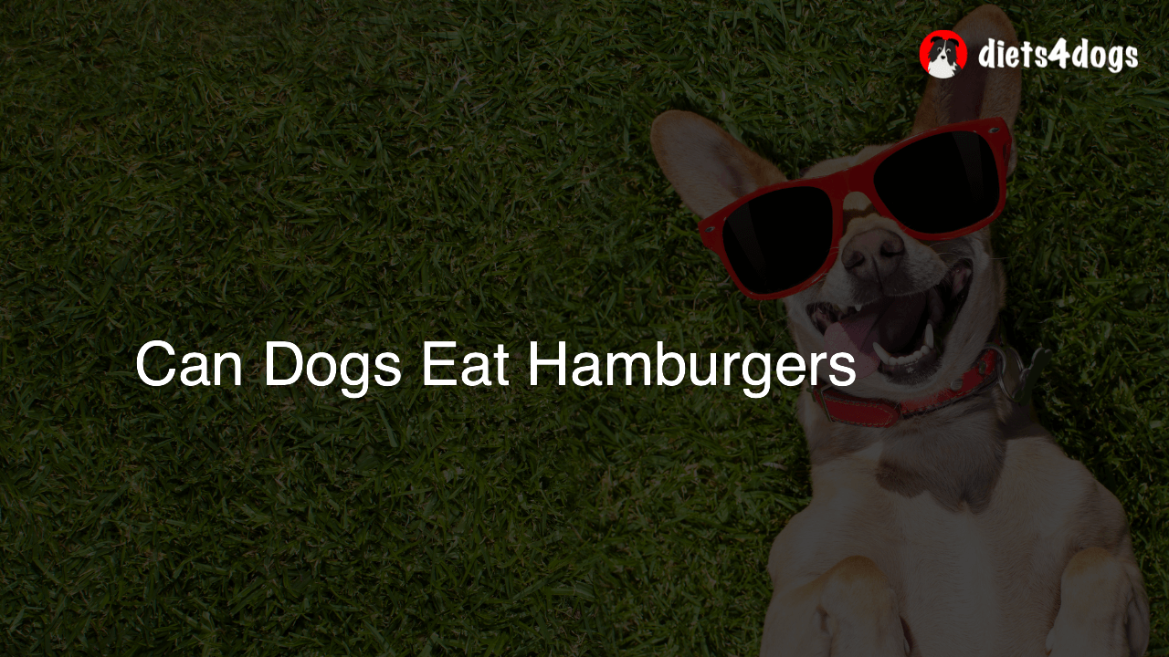 Can Dogs Eat Hamburgers