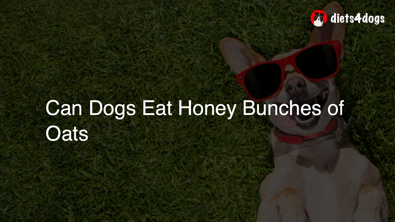Can Dogs Eat Honey Bunches of Oats