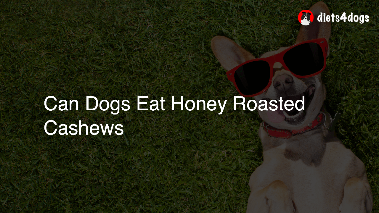 Can Dogs Eat Honey Roasted Cashews