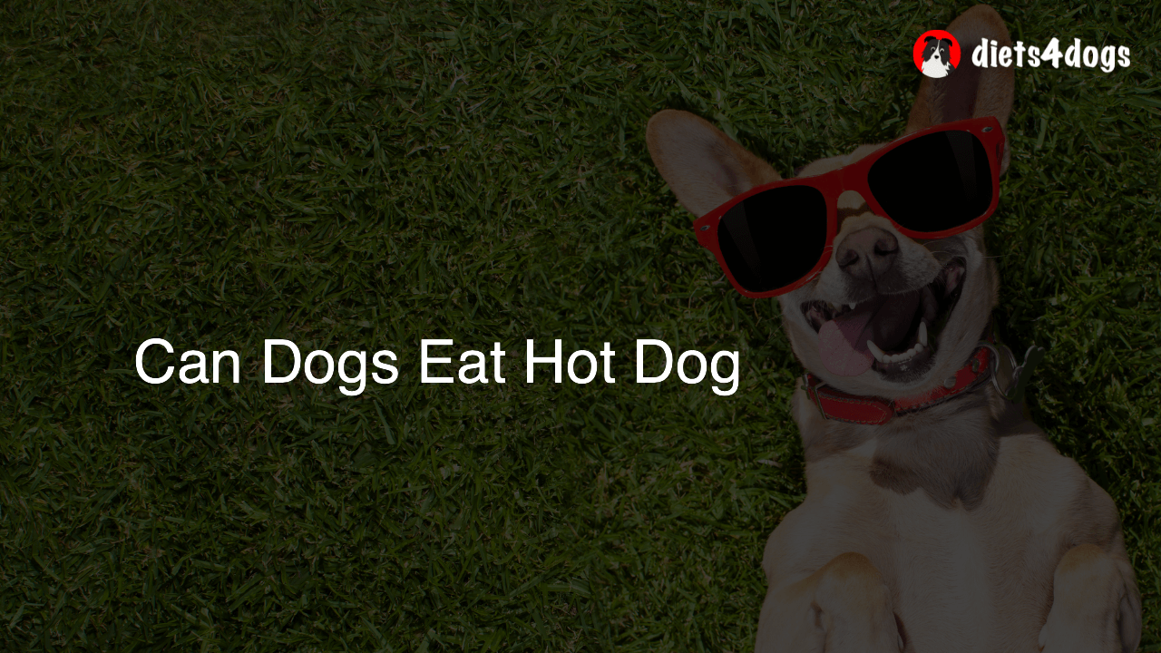 Can Dogs Eat Hot Dog