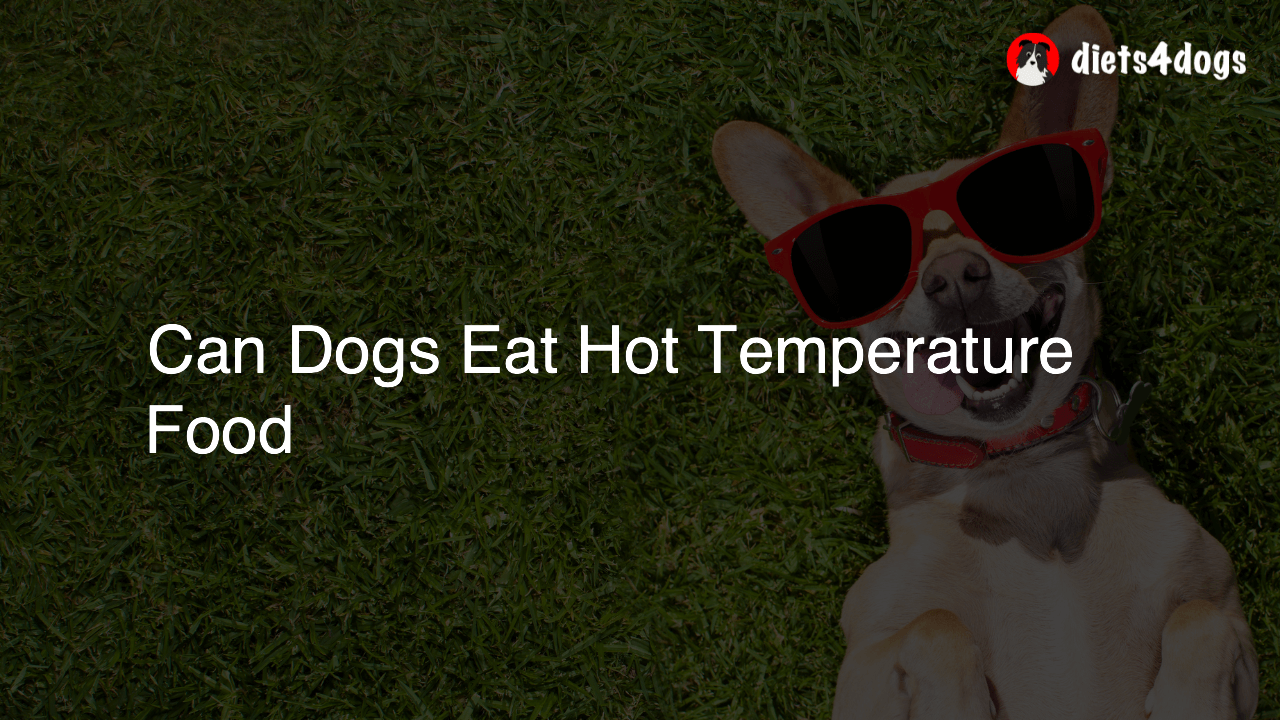 Can Dogs Eat Hot Temperature Food