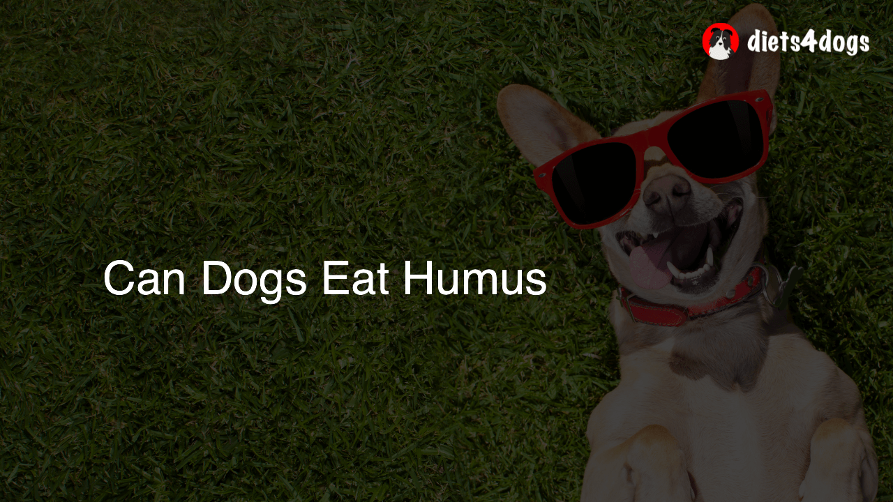 Can Dogs Eat Humus