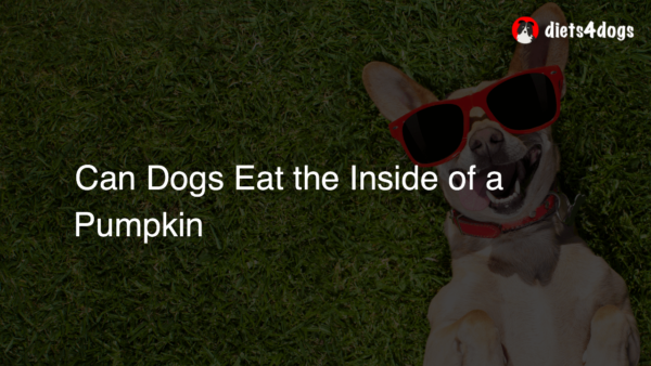 Can Dogs Eat the Inside of a Pumpkin