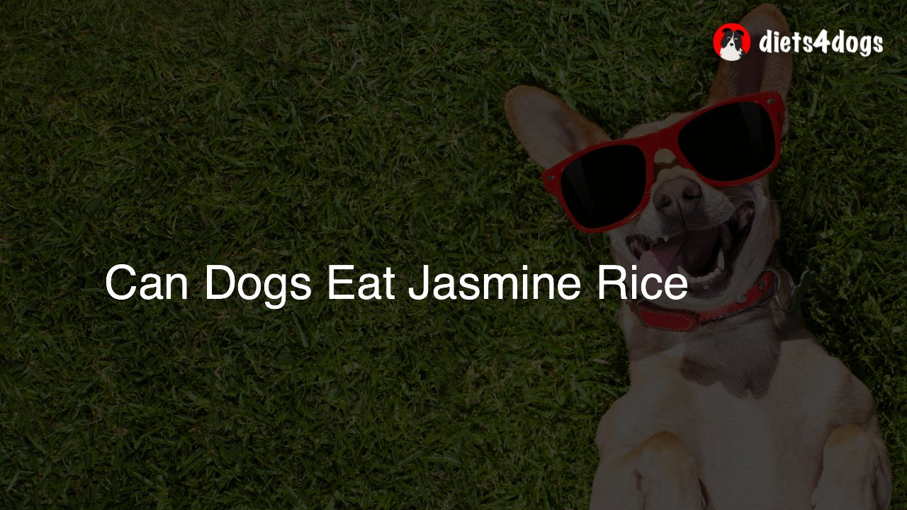 Can Dogs Eat Jasmine Rice
