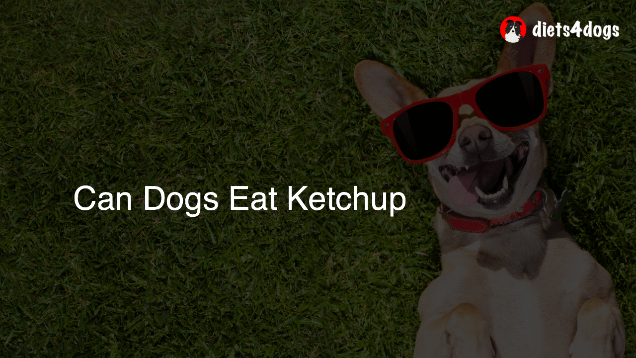 Can Dogs Eat Ketchup