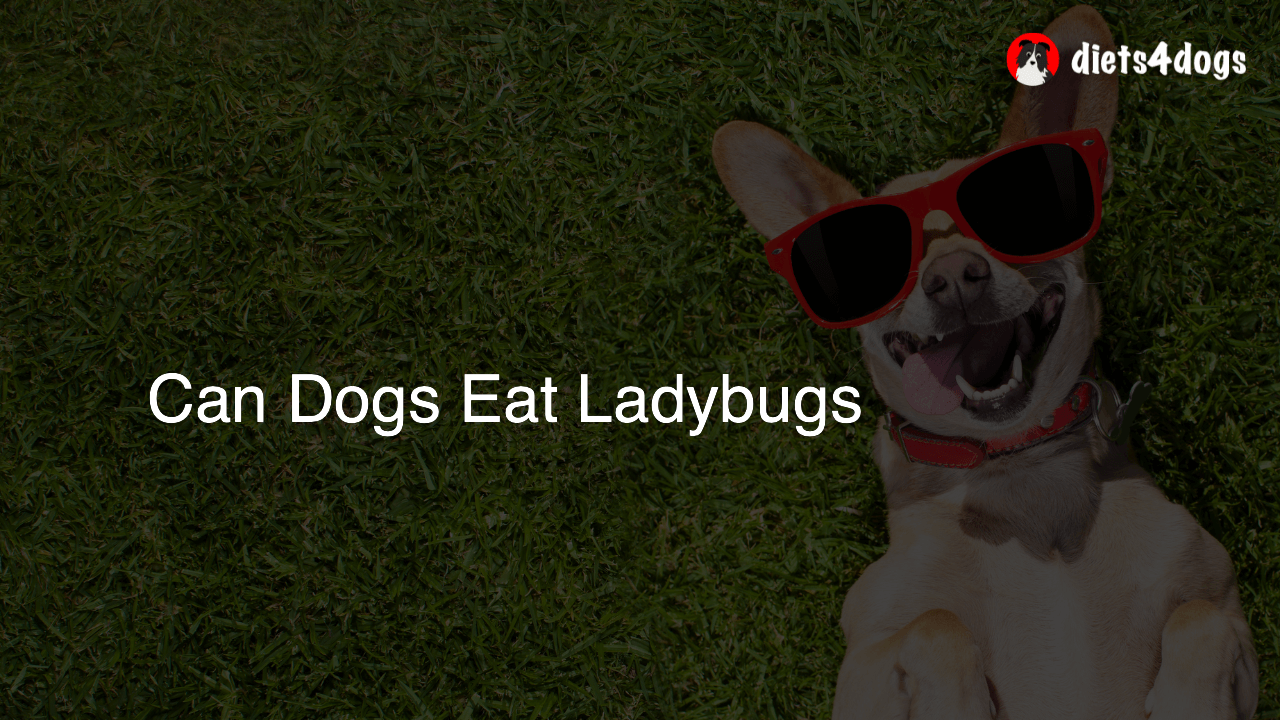 Can Dogs Eat Ladybugs