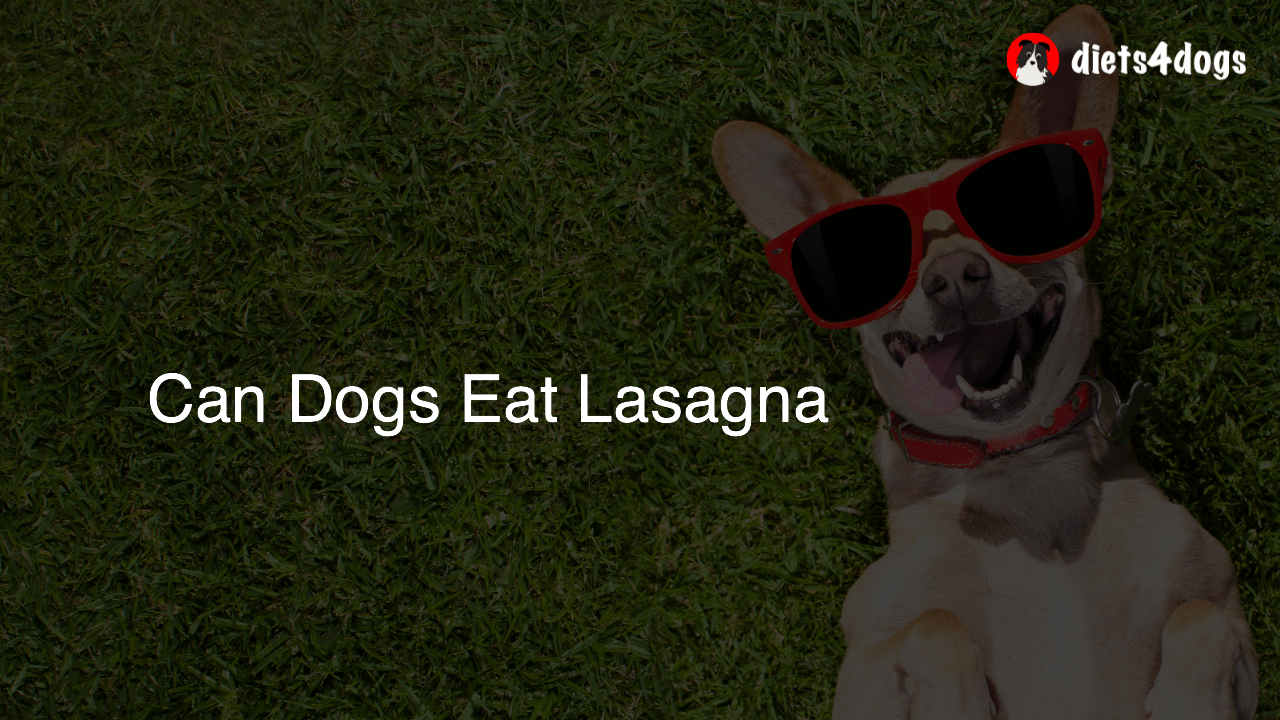 Can Dogs Eat Lasagna