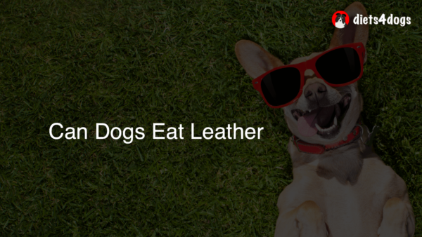 Can Dogs Eat Leather