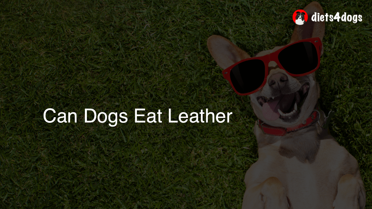 Can Dogs Eat Leather