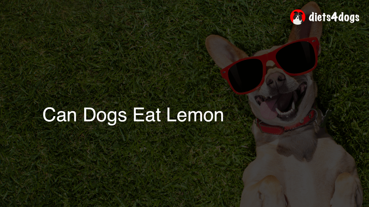 Can Dogs Eat Lemon