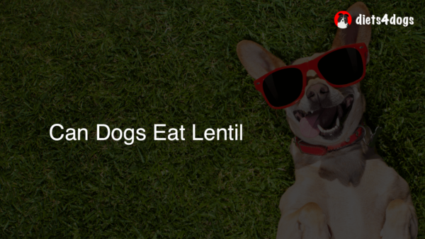 Can Dogs Eat Lentil